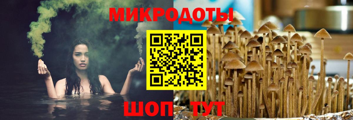 Галлюциногенные грибы Psilocybine cubensis  Вход с VPN  купить  цена  Новочебоксарск 